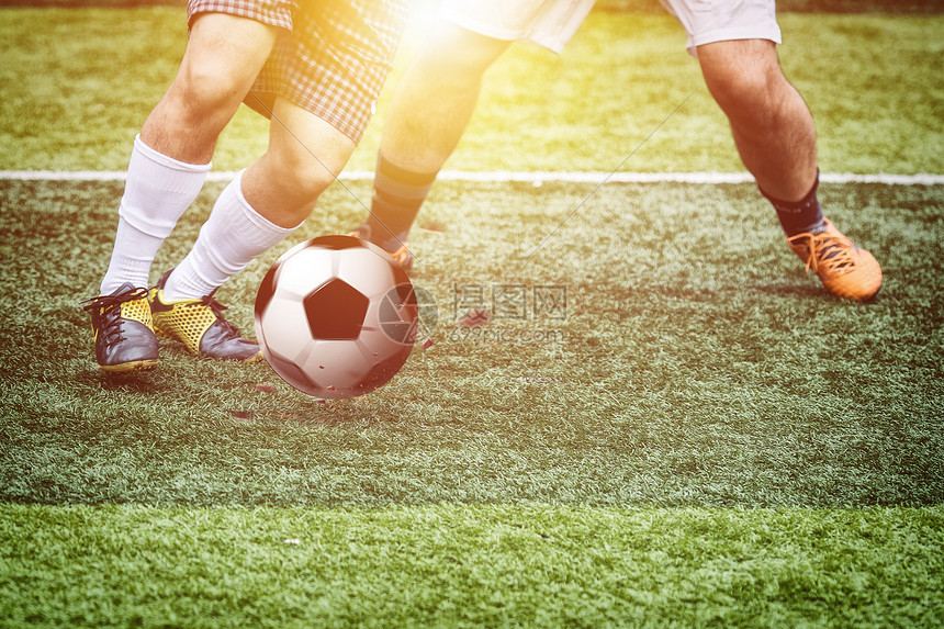 的报价 的报价